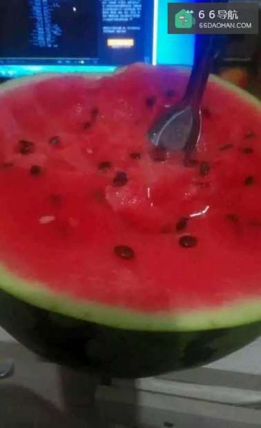 夏季生活的常识