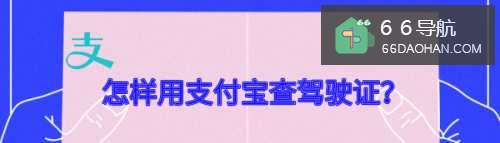 怎么样查驾驶证