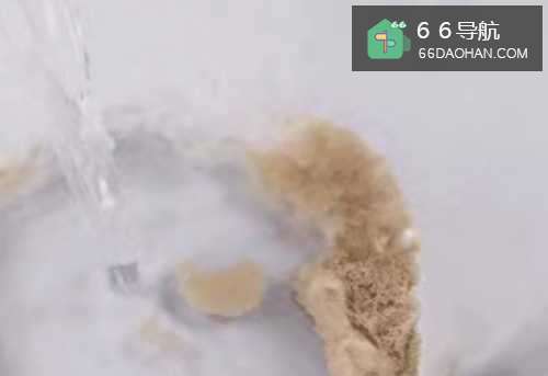 香菇肉包：热腾腾，香喷喷