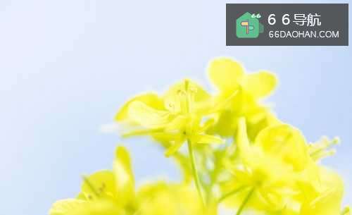 追求女孩子常犯的13个错误，追女孩子有何种错误