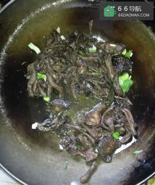 干蘑菇泡发，及简单做法！